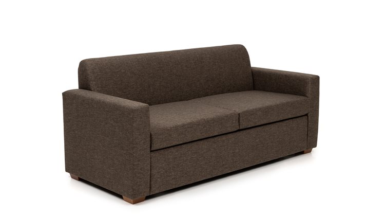 Carisbrook 2.5 Seat Sofabed